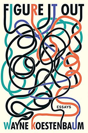Figure It Out: Essays by Wayne Koestenbaum