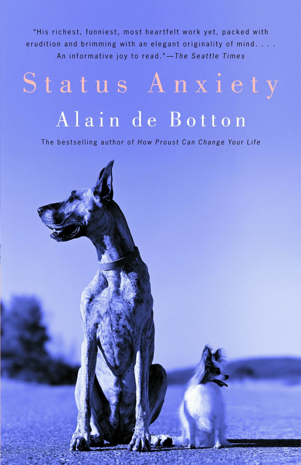 Status Anxiety by Alain De Botton