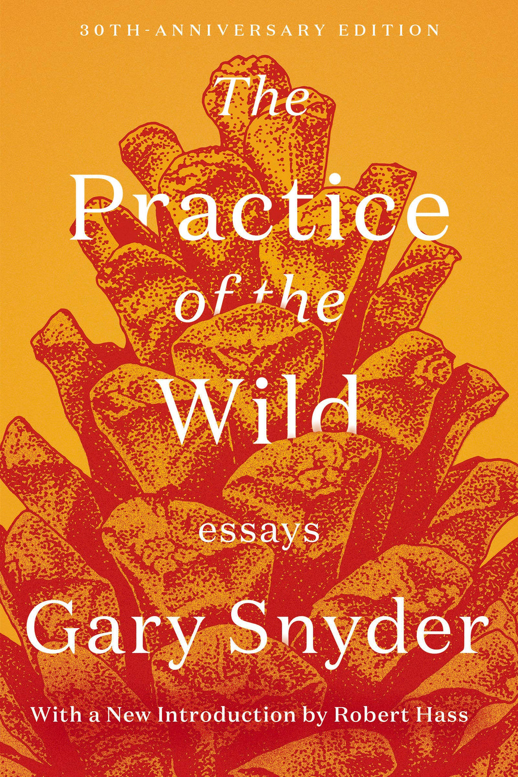 The Practice of the Wild: Essays by Gary Snyder