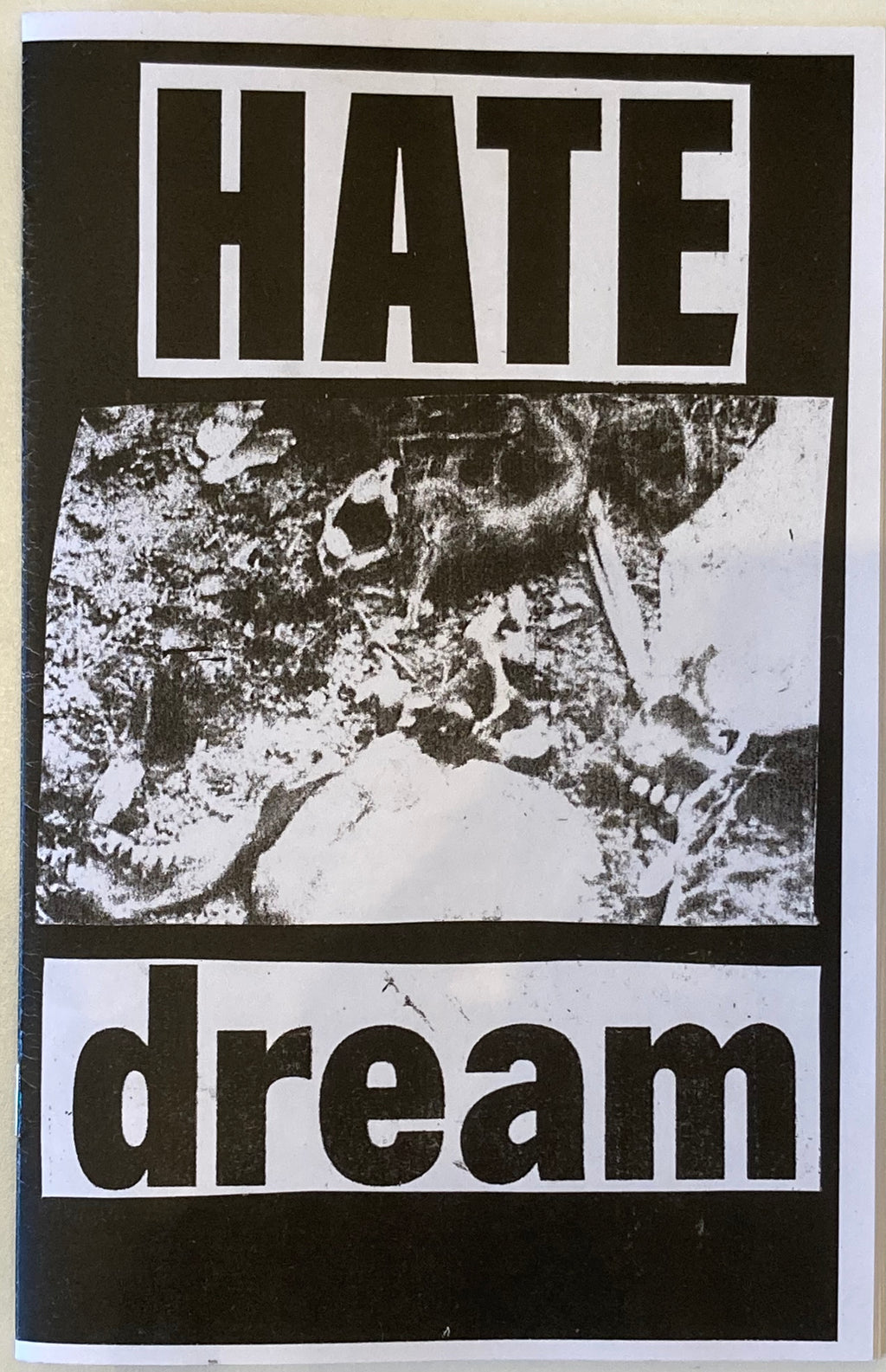 HATE DREAM